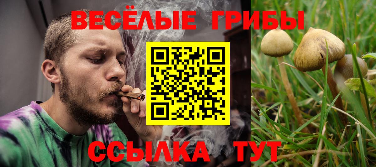 Псилоцибиновые грибы Psilocybe  Вход с VPN  Череповец  Псилоцибиновые грибы Psilocybe 